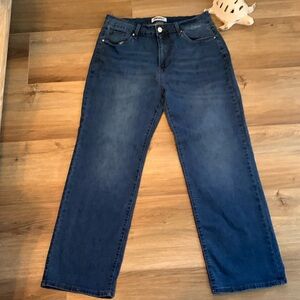 VIP Honey of Los Angeles size 1X Relaxed fit jean